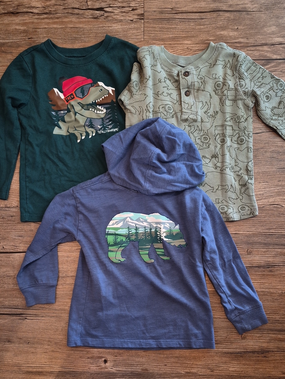 Garanimals Blue Hooded Tee with Bear Scenic Graphic